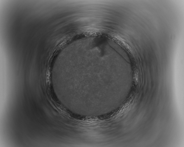 X0000096430964200802141428
