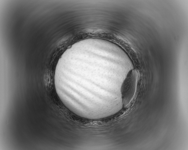 X0000096430966200802141428