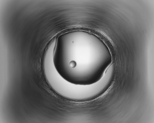 X0000096430969200802141428
