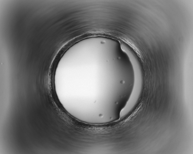 X0000096430976200802141428
