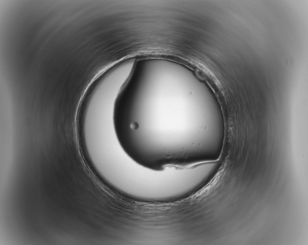 X0000096430981200802141428