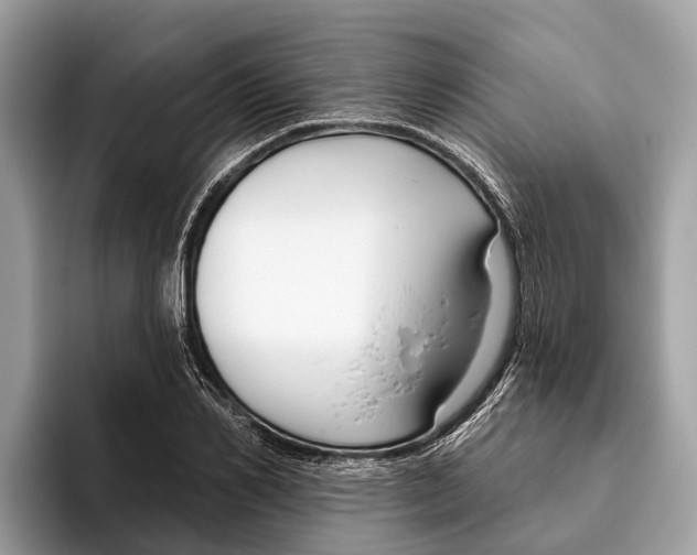 X0000096430982200802141428