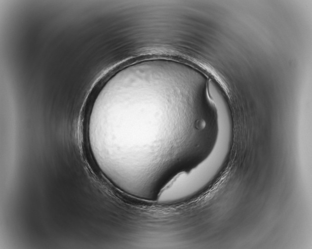 X0000096430983200802141428