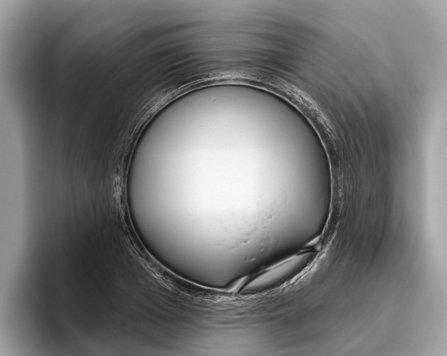 X0000096430985200802141428