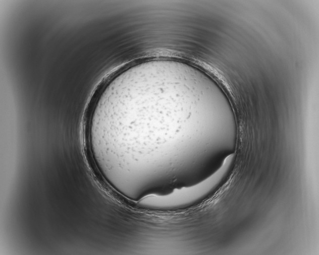 X0000096430987200802141428