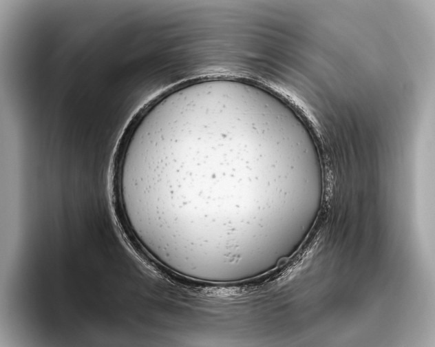 X0000096430991200802141428