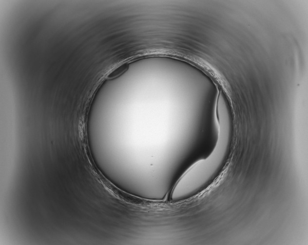 X0000096430993200802141428