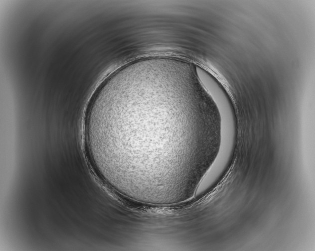 X0000096430994200802141428
