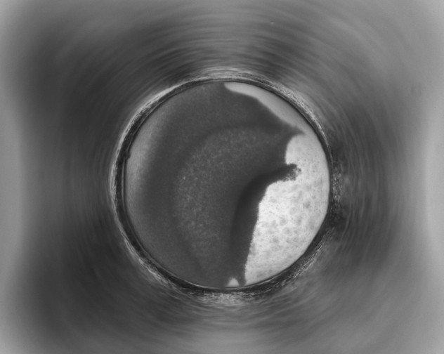 X0000096430995200802141428
