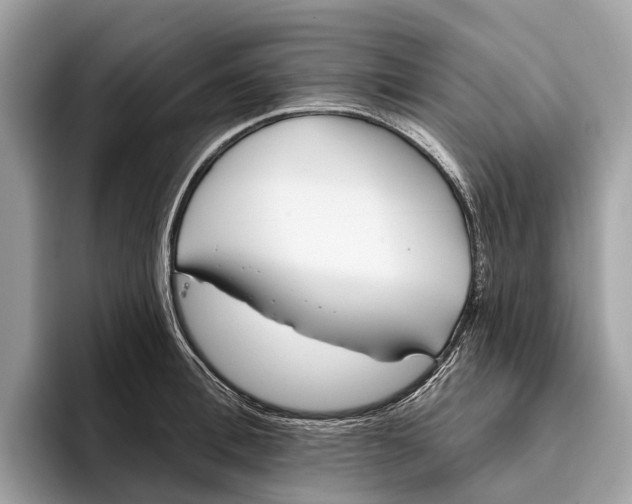 X0000096430996200802141428
