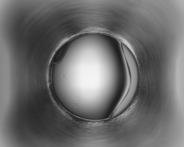 X0000096430997200802141428
