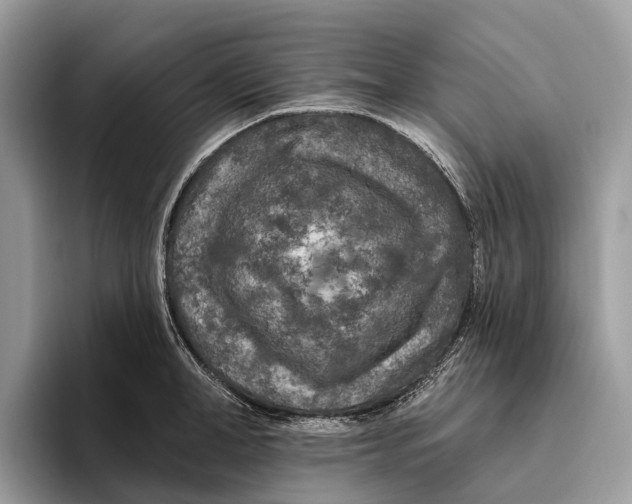 X0000096430998200802141428