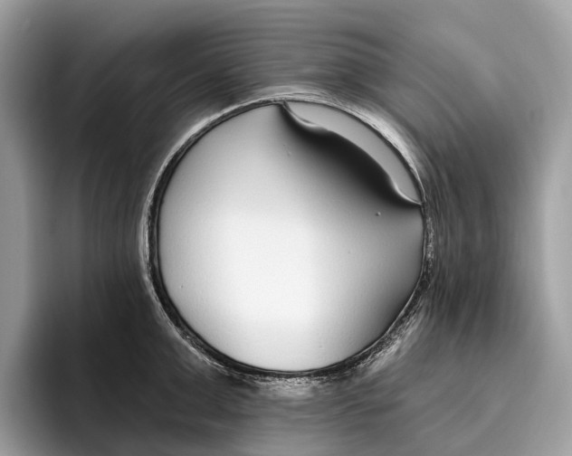 X0000096430999200802141428