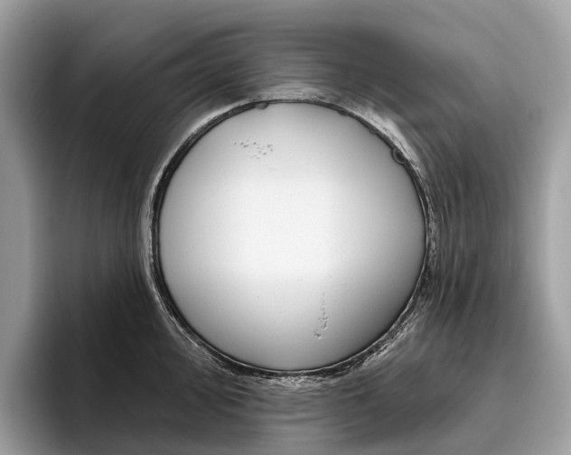 X0000096431000200802141428