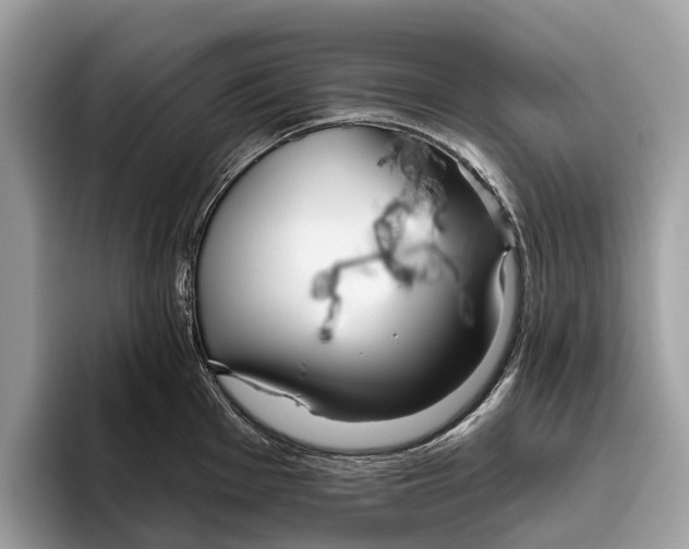 X0000096431001200802141428