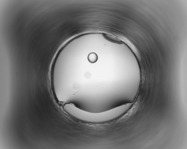 X0000096431004200802141428