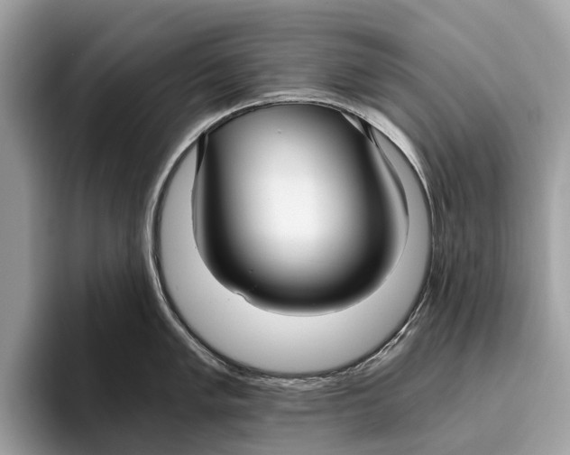 X0000096431005200802141428
