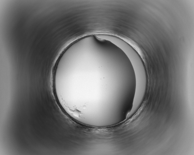 X0000096431006200802141428