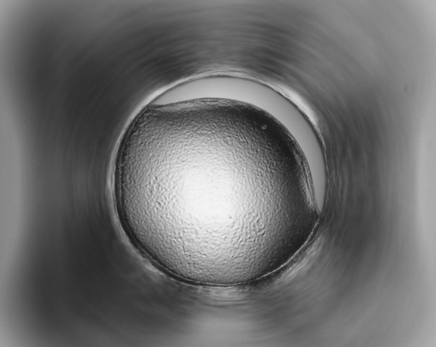 X0000096431007200802141428