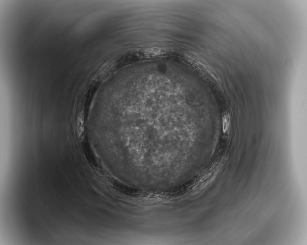 X0000096431011200802141427