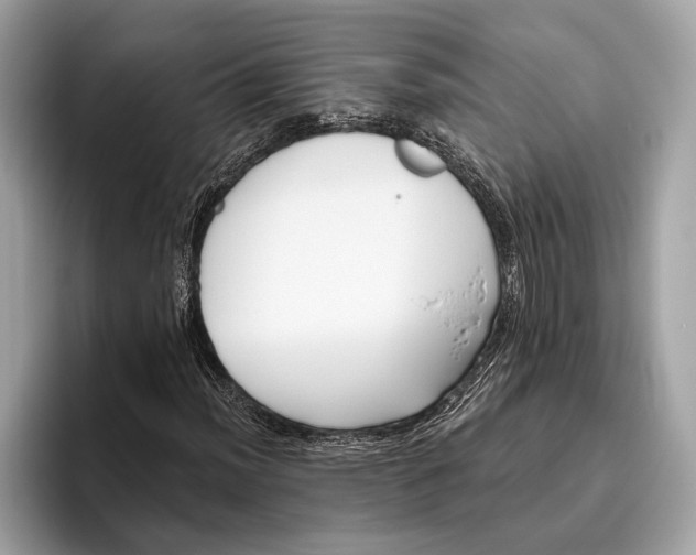 X0000096431012200802141427