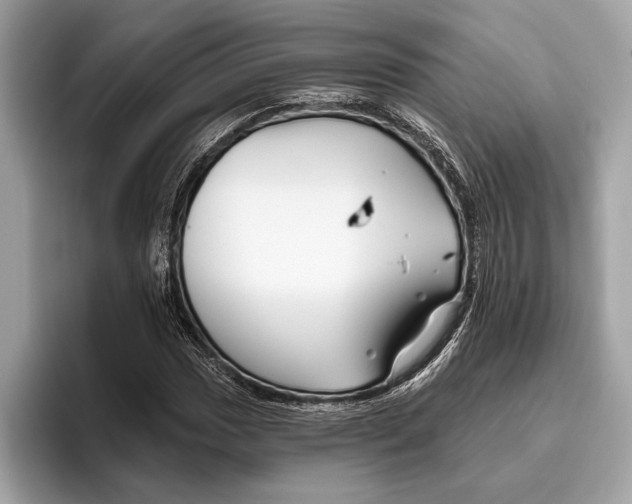 X0000096431017200802141427