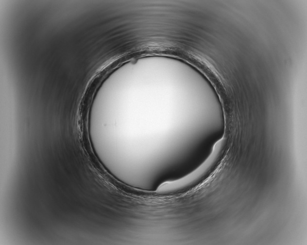 X0000096431018200802141427