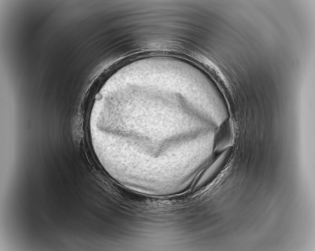 X0000096431019200802141427