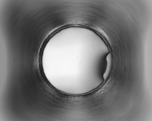 X0000096431020200802141427