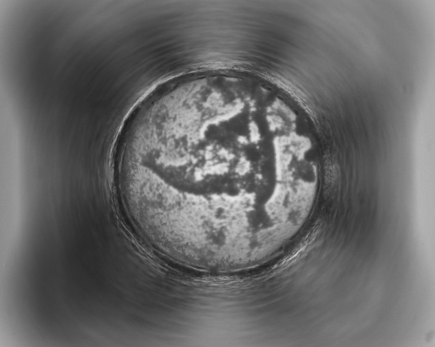 X0000096431023200802141427