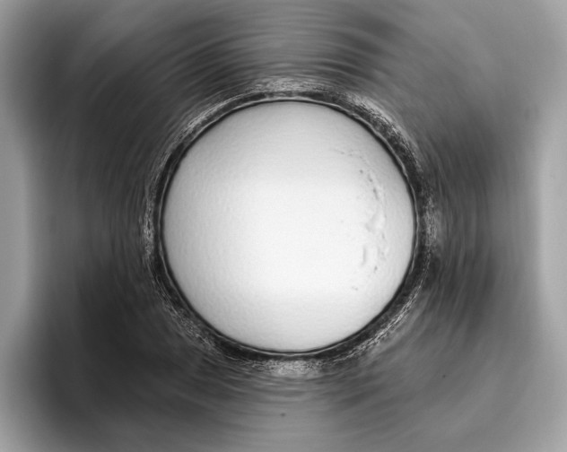 X0000096431025200802141427