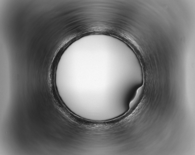 X0000096431026200802141427