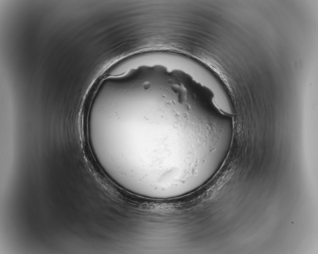 X0000096431030200802141428