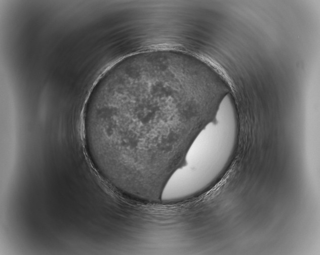 X0000096431031200802141428