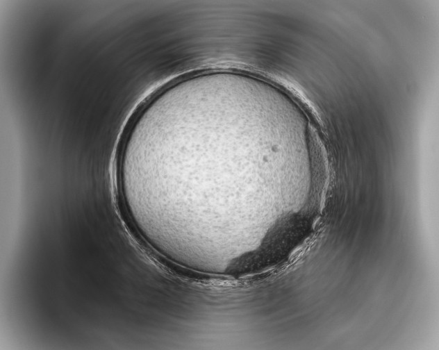 X0000096431032200802141428