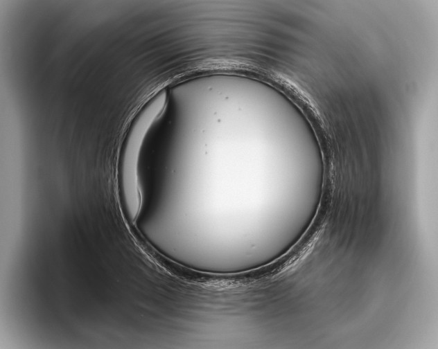 X0000096431033200802141428