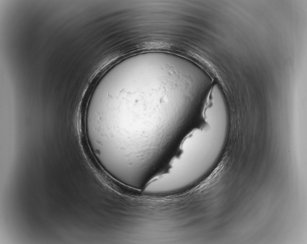X0000096431034200802141428
