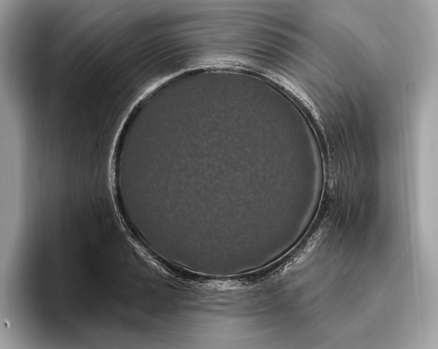 X0000096431037200802141428