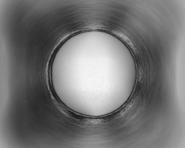 X0000096431039200802141428