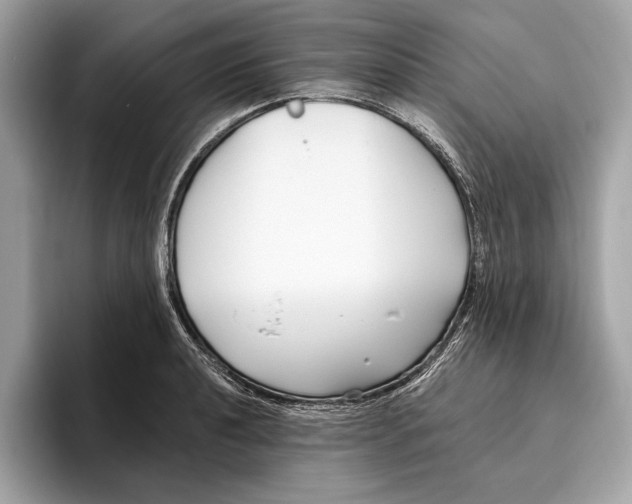 X0000096431040200802141428