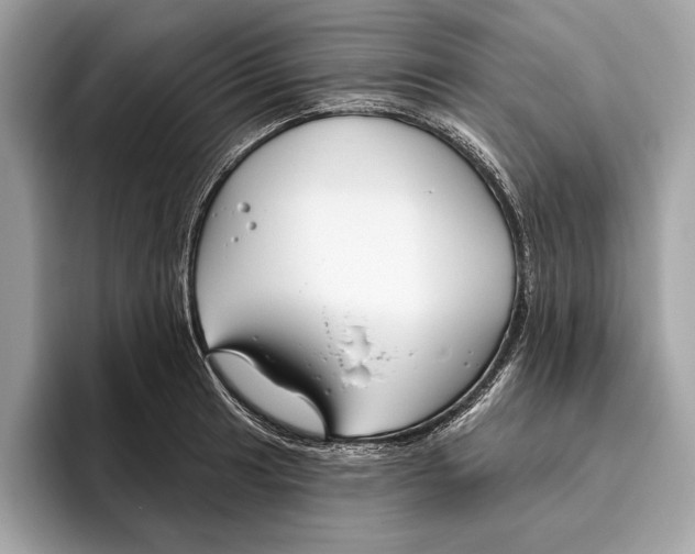 X0000096431041200802141428
