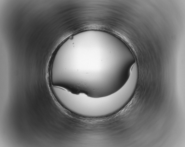 X0000096431042200802141428