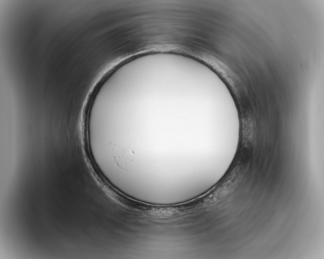 X0000096431046200802141428