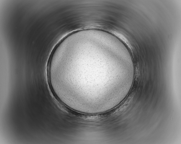 X0000096431047200802141428