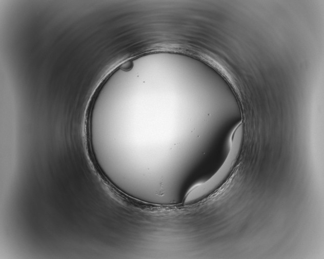 X0000096431050200802141428