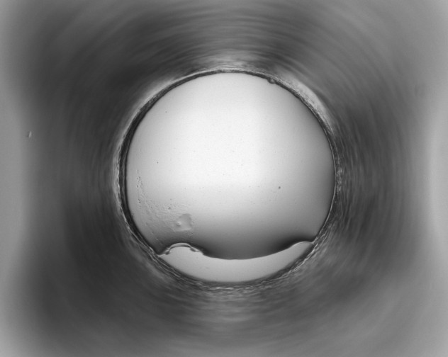 X0000096431051200802141428
