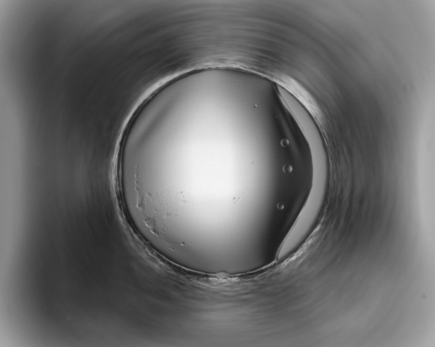 X0000096431052200802141428
