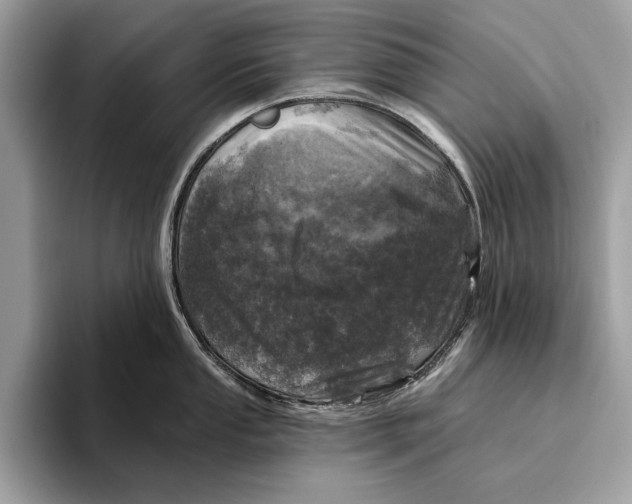X0000096431053200802141428