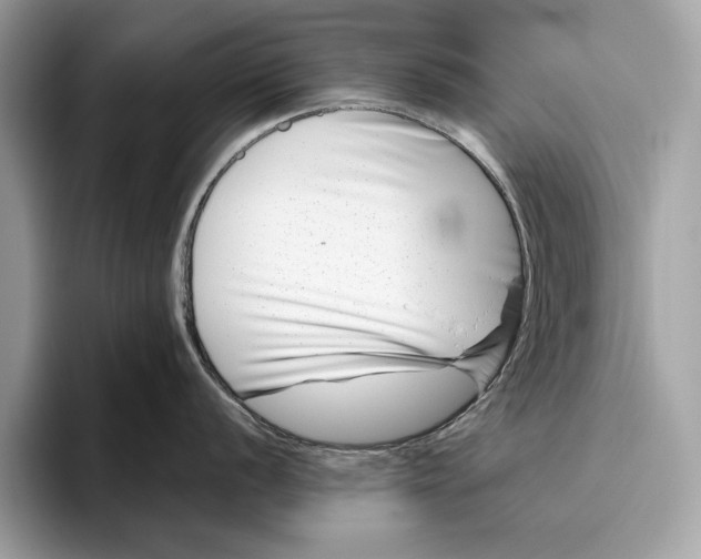 X0000096431056200802141428