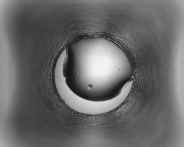 X0000096431057200802141427